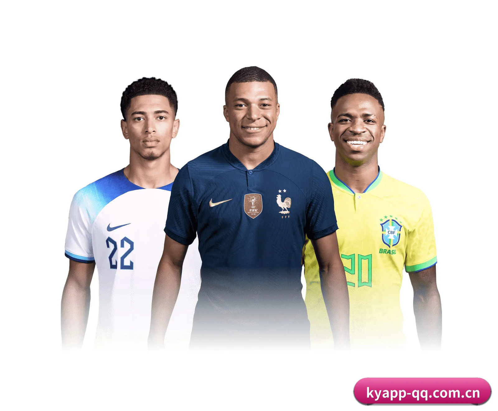 五维频道网格化布局 · 环球体坛电讯按项归仓